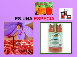 ES UNA ESPECIA