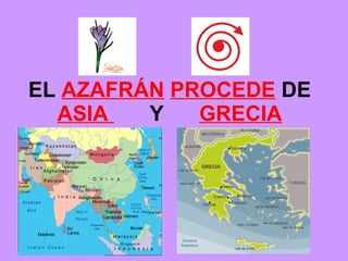 EL AZAFRÁN PROCEDE DE ASIA Y GRECIA