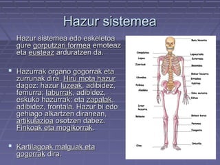 Hazur sistemea
Hazur sistemea edo eskeletoa
gure gorputzari formea emoteaz
eta eusteaz arduratzen da.

 Hazurrak organo gogorrak eta

zurrunak dira. Hiru mota hazur
dagoz: hazur luzeak, adibidez,
femurra; laburrak, adibidez,
eskuko hazurrak; eta zapalak,
adibidez, frontala. Hazur bi edo
gehiago alkartzen diranean,
artikulazioa osotzen dabez.
Finkoak eta mogikorrak.

 Kartilagoak malguak eta
gogorrak dira.

 