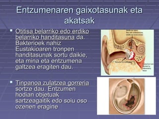 Entzumenaren gaixotasunak eta
akatsak
 Otitisa belarriko edo erdiko
belarriko handitasuna da.
Bakterioek nahiz
Eustakioaren tronpen
handitasunak sortu daikie,
eta mina eta entzumena
galtzea eragiten dau.

 Tinpanoa zulatzea gorreria
sortze dau. Entzumen
hodian objetuak
sartzeagaitik edo soiu oso
ozenen eragine

 