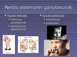 Nerbio sistemaren gaixotasunak
 Kausa fisikoak
 Parkinson
gaixotasunak
 Alzheimerren
gaixotasunak

 Kausa psikikoak
 Derpresinoa
 Antsietatea

 
