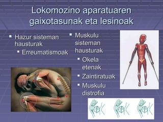 Lokomozino aparatuaren
gaixotasunak eta lesinoak
 Hazur sisteman

hausturak
 Erreumatismoak

 Muskulu
sisteman
hausturak
 Okela
etenak
 Zaintiratuak
 Muskulu
distrofia

 