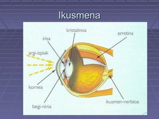Ikusmena

 