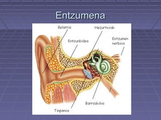 Entzumena

 