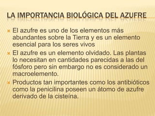 La importancia biológica del azufreEl azufre es uno de los elementos más abundantes sobre la Tierra y es un elemento esencial para los seres vivos El azufre es un elemento olvidado. Las plantas lo necesitan en cantidades parecidas a las del fósforo pero sin embargo no es considerado un macroelemento.Productos tan importantes como los antibióticos como la penicilina poseen un átomo de azufre derivado de la cisteína. 