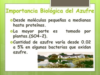 Importancia Biológica del Azufre   Desde moléculas pequeñas a medianas hasta proteínas. La mayor parte es  tomado por plantas.(SO4-2). Cantidad de azufre varía desde 0.02 a 5% en algunas bacterias que oxidan azufre. 