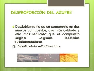 DESPROPORCIÓN DEL AZUFREDesdoblamiento de un compuesto en dos nuevos compuestos, uno más oxidado y otro más reducido que el compuesto original .Algunas bacterias sulfatorreductoras Ej.: Desulfovibrio sulfodismutans.