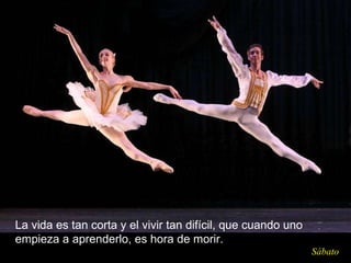La vida es tan corta y el vivir tan difícil, que cuando uno empieza a aprenderlo, es hora de morir.  Sábato 