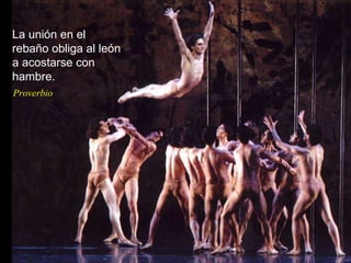 La unión en el rebaño obliga al león a acostarse con hambre. Proverbio 