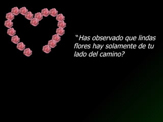 “ Has observado que lindas flores hay solamente de tu lado del camino? 