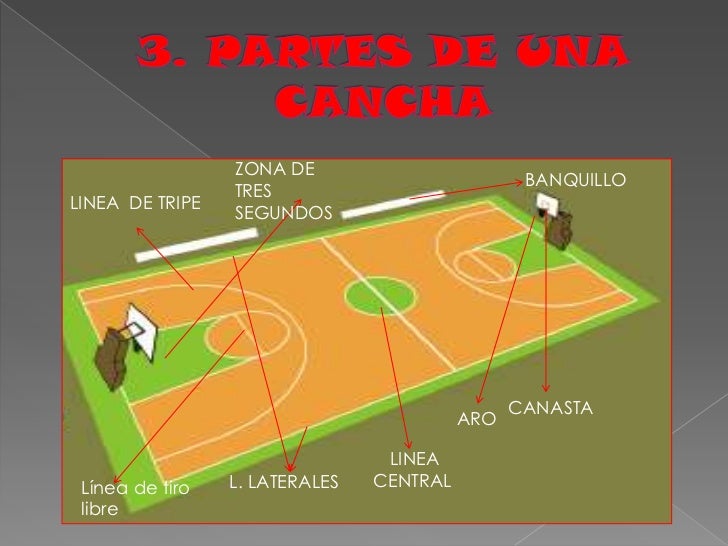 Resultado de imagen para partes de una cancha de basquetbol