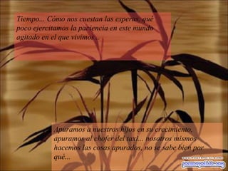 Tiempo... Cómo nos cuestan las esperas, qué poco ejercitamos la paciencia en este mundo agitado en el que vivimos...  Apuramos a nuestros hijos en su crecimiento, apuramos al chofer del taxi... nosotros mismos hacemos las cosas apurados, no se sabe bien por qué... 