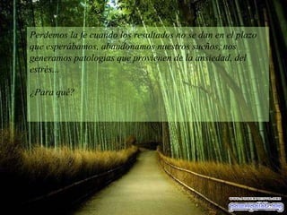 Perdemos la fe cuando los resultados no se dan en el plazo que esperábamos, abandonamos nuestros sueños, nos generamos patologías que provienen de la ansiedad, del estrés...  ¿Para qué? 