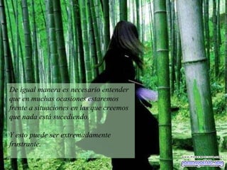 De igual manera es necesario entender que en muchas ocasiones estaremos frente a situaciones en las que creemos que nada está sucediendo.  Y esto puede ser extremadamente frustrante.  