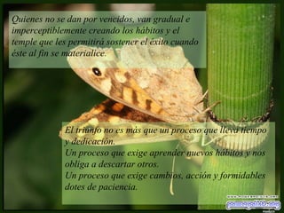 Quienes no se dan por vencidos, van gradual e imperceptiblemente creando los hábitos y el temple que les permitirá sostener el éxito cuando éste al fin se materialice . El triunfo no es más que un proceso que lleva tiempo y dedicación.  Un proceso que exige aprender nuevos hábitos y nos obliga a descartar otros.  Un proceso que exige cambios, acción y formidables dotes de paciencia. 