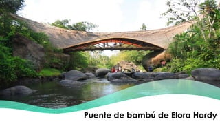 Puente de bambú de Elora Hardy
 