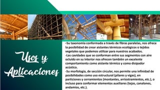 -Su taxonomía conformada a través de fibras paralelas, nos ofrece
la posibilidad de crear aislantes térmicos ecológicos o tejidos
vegetales que podemos utilizar para nuestros acabados.
-Las cavidades que se conforman entre sus segmentos con aire
ocluido en su interior nos ofrecen también un excelente
comportamiento como aislante térmico y como disipador
acústico.
-Su morfología, de sección circular, nos permite una infinidad de
posibilidades como uso estructural (pilares y vigas), en
particiones y cerramientos (montantes, arriostramientos, etc.), o
incluso para conformar elementos auxiliares (tejas, canalones,
andamios, etc.).
Usos y
Aplicaciones
 