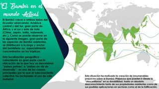 El Bambú en el
mundo Actual
El Bambú crece a ambos lados del
Ecuador abarcando: América
central y del Sur, gran parte de
África, y el sur y este de Asia
(China, Japón, India, Indonesia,
etc.). Como se puede observar en
la siguiente imagen, gran parte de
las especies de Bambú existentes
se distribuyen a lo largo y ancho
del hemisferio sur, especialmente
concentrados en los trópicos.
Esta localización geográfica -
coincidente en gran parte con la
ubicación de lo que hoy se denominan
“países pobres” o “países en vía de
desarrollo”- es una de las causas
principales por la que el subconsciente
colectivo ha rechazado el uso de este
material.
Esta situación ha motivado la creación de innumerables
prejuicios sobre el Bambú. Prejuicios que pueden ir desde la
“desconfianza” en su durabilidad, hasta un absoluto
desconocimiento tanto de sus propiedades resistentes como de
sus posibles aplicaciones en sectores como el de la Edificación.
 