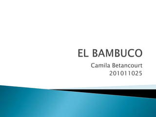 EL BAMBUCO Camila Betancourt 201011025 