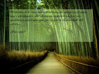 Perdemos la fe cuando los resultados no se dan en el plazo
que esperábamos, abandonamos nuestros sueños, nos
generamos patologías que provienen de la ansiedad, del
estrés...
¿Para qué?
 