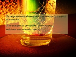 Te propongo tratar de recuperar la perseverancia, la espera,Te propongo tratar de recuperar la perseverancia, la espera,
la aceptación.la aceptación.
Si no consigues lo que anhelas, no desesperes...Si no consigues lo que anhelas, no desesperes...
quizá solo estés echandoquizá solo estés echando raíces....raíces....
 