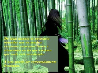 De igual manera es necesario
entender que en muchas
ocasiones estaremos frente a
situaciones en las que creemos
que nada está sucediendo.
Y esto puede ser extremadamente
frustrante.
 