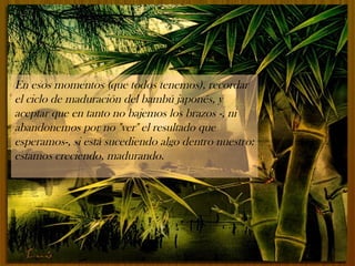 En esos momentos (que todos tenemos), recordar
el ciclo de maduración del bambú japonés, y
aceptar que en tanto no bajemos los brazos -, ni
abandonemos por no "ver" el resultado que
esperamos-, si está sucediendo algo dentro nuestro:
estamos creciendo, madurando.
 