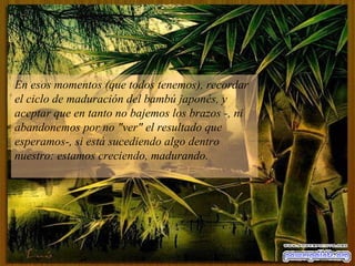 En esos momentos (que todos tenemos), recordar el ciclo de maduración del bambú japonés, y aceptar que en tanto no bajemos los brazos -, ni abandonemos por no "ver" el resultado que esperamos-, si está sucediendo algo dentro nuestro: estamos creciendo, madurando.  