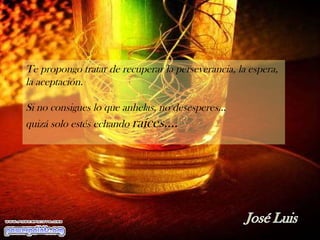 Te propongo tratar de recuperar la perseverancia, la espera, la aceptación.  Si no consigues lo que anhelas, no desesperes...  quizá solo estés echando  raíces.... 