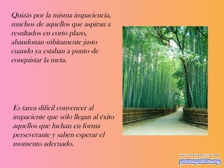 Quizás por la misma impaciencia, muchos de aquellos que aspiran a resultados en corto plazo, abandonan súbitamente justo cuando ya estaban a punto de conquistar la meta.  Es tarea difícil convencer al impaciente que sólo llegan al éxito aquellos que luchan en forma perseverante y saben esperar el momento adecuado.  
