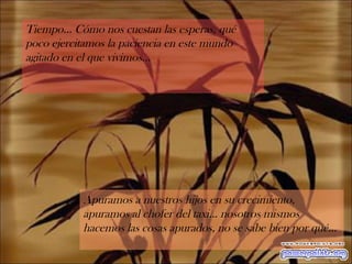 Tiempo... Cómo nos cuestan las esperas, qué poco ejercitamos la paciencia en este mundo agitado en el que vivimos...  Apuramos a nuestros hijos en su crecimiento, apuramos al chofer del taxi... nosotros mismos hacemos las cosas apurados, no se sabe bien por qué... 
