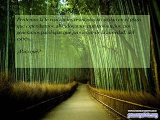 Perdemos la fe cuando los resultados no se dan en el plazo que esperábamos, abandonamos nuestros sueños, nos generamos patologías que provienen de la ansiedad, del estrés...  ¿Para qué? 