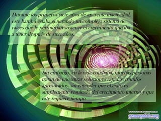 Durante los primeros siete años de aparente inactividad, este bambú estaba generando un complejo sistema de raíces que le permitirían sostener el crecimiento que iba a tener después de siete años.  Sin embargo, en la vida cotidiana, muchas personas tratan de encontrar soluciones rápidas, triunfos apresurados, sin entender que el éxito es simplemente resultado del crecimiento interno y que éste requiere tiempo 