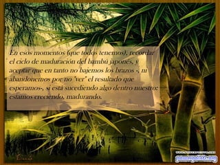 En esos momentos (que todos tenemos), recordar el ciclo de maduración del bambú japonés, y aceptar que en tanto no bajemos los brazos -, ni abandonemos por no "ver" el resultado que esperamos-, si está sucediendo algo dentro nuestro: estamos creciendo, madurando.  