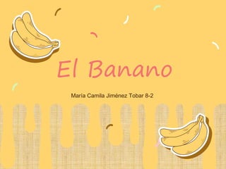 El Banano
María Camila Jiménez Tobar 8-2
 