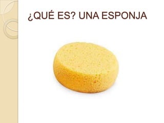 ¿QUÉ ES? UNA ESPONJA
 