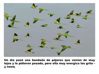 Un día pasó una bandada de pájaros que venían de muy 
lejos y le pidieron posada, pero ella muy energica les grito - 
¡¡ nooo¡ 
 