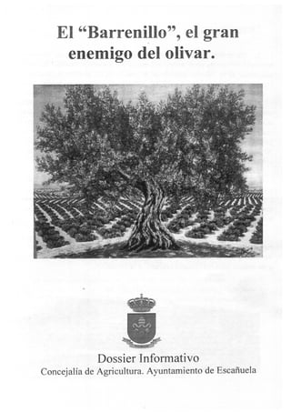 El barrenillo, el gran enemigo del olivar, dossier informativo Escañuela 2013