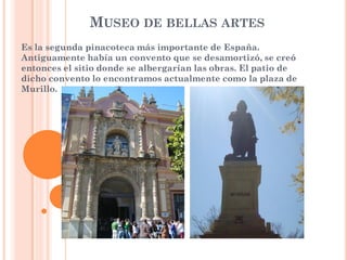 MUSEO DE BELLAS ARTES
Es la segunda pinacoteca más importante de España.
Antiguamente había un convento que se desamortizó, se creó
entonces el sitio donde se albergarían las obras. El patio de
dicho convento lo encontramos actualmente como la plaza de
Murillo.
 