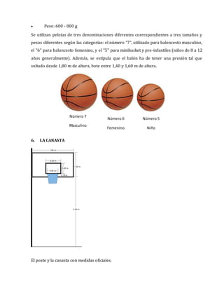  Peso: 600 - 800 g
Se utilizan pelotas de tres denominaciones diferentes correspondientes a tres tamaños y
pesos diferentes según las categorías: el número "7", utilizado para baloncesto masculino,
el "6" para baloncesto femenino, y el "5" para minibasket y pre-infantiles (niños de 8 a 12
años generalmente). Además, se estipula que el balón ha de tener una presión tal que
soltado desde 1,80 m de altura, bote entre 1,40 y 1,60 m de altura.
6. LA CANASTA
El poste y la canasta con medidas oficiales.
Número 7
Masculino
Número 5
Niño
Número 6
Femenino
 