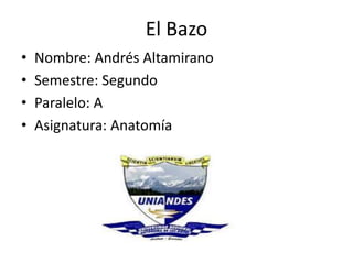 El Bazo
• Nombre: Andrés Altamirano
• Semestre: Segundo
• Paralelo: A
• Asignatura: Anatomía
 