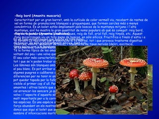 -Reig bord (Amanita muscaria) Caracteritzat per un gran barret, amb la cutícula de color vermell viu, recobert de restes de vel en forma de granulacions blanques o groguenques, que formen cercles més o menys concèntrics. És un bolet estès àmpliament pels boscos de la muntanya mitjana i l'alta muntanya, així ho mostra la gran quantitat de noms populars ab què és conegut: reig bord, reig de fageda, reig vermell, matamosques, reig de foll, oriol foll, reig tinyós, etc. Aquest fong micorrizogen viu en tota mena de boscos, en sòls silícics. Fructifica a finals d'estiu i a la tardor. La toxicitat que presenta no el fa mortal, tot i que provoca trastorns digestius (diarrea, vòmits, sequedat de boca), i transtorns de tipus nerviós (deliri, excitació, al·lucinacions, confusió mental). -Farinera borda (Amanita phalloides)  Es un fong micorrizogen que habita en tota mena de boscos, en sòls preferentment silícics, tant a la terra baixa com a la muntanya mitjana. Té la forma típica de les amanites, amb anell al voltant del peu i una volva que embolcalla la base. El seu color més característic és el verd olivaci, tot i que se'n poden trobar exemplars esgrogueïts. Les làmines són blanques amb reflexos verdosos i el peu blanc. Es pot arribar a confondre amb algunes puagres o cuàlberes de color verd, que es diferencien per no tenir ni anell ni volva. La volva pot quedar tapada per la fullaraca i no resultar visible al primer cop d'ull. Per això, en el cas de les amanites i altres bolets que s'hi poden confondre, cal arrencar-los sencers ja que l'existència de volva i l'aspecte d'aquesta són característiques molt importants per a la correcta identificació de les espècies. És una espècie amb toxicitat elevada, força abundant en els nostres boscos, no es rar doncs que sigui el bolet que provoca un major nombre d'intoxicacions mortals a Catalunya. 