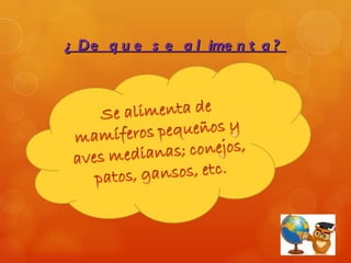 ¿ De q u e s e a l ime n t a ?
 