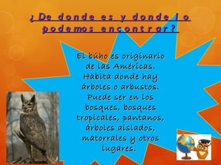 ¿ De d o n d e e s y d o n d e l o
   p o d e mo s e n c o n t r a r ?

          El búho es originario
            de las Américas.
            Habita donde hay
           árboles o arbustos.
             Puede ser en los
            bosques, bosques
          tropicales, pantanos,
            árboles aislados,
           matorrales y otros
                lugares.
 