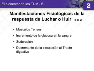 Manifestaciones Fisiológicas de la
respuesta de Luchar o Huir (2 de 2)
• Músculos Tensos
• Incremento de la glucosa en la sangre
• Sudoración
• Decremento de la circulación al Tracto
digestivo
 