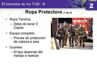 Ropa Protectora (1 de 3)
• Ropa Térmica
– Debe de tener 3
Capas
• Equipo completo
– Provee de protección
de cabeza a pies
• Guantes
– El tipo depende del
trabajo a realizar
 