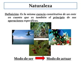 NaturalezaCuando hablamos de bien como el mismo ente en cuanto apetecible, inevitablemente señalamos que es una relación de razón. Porque sólo le es admisible a un sujeto dotado de una determinada constitución física y psíquica, así decimos: “El bien es la perfección correspondiente a una determinada naturaleza”. Por lo tanto, se concluye que a naturalezas diversas le corresponden también diversos bienes