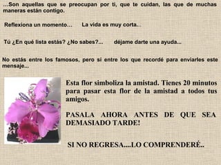 … Son aquellas que se preocupan por ti, que te cuidan, las que de muchas maneras están contigo.   Reflexiona un momento…   La vida es muy corta. .. Tú ¿En qué lista estás? ¿No sabes?...   déjame darte una ayuda...   No estás entre los famosos, pero sí entre los que recordé para enviarles este mensaje...  Esta flor simboliza la amistad. Tienes 20 minutos para pasar esta flor de la amistad a todos tus amigos.   PASALA AHORA ANTES DE QUE SEA DEMASIADO TARDE!   SI NO REGRESA....LO COMPRENDERÉ..   