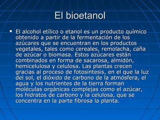El bioetanolEl bioetanol
 El alcohol etílico o etanol es un producto químicoEl alcohol etílico o etanol es un producto químico
obtenido a partir de la fermentación de losobtenido a partir de la fermentación de los
azúcares que se encuentran en los productosazúcares que se encuentran en los productos
vegetales, tales como cereales, remolacha, cañavegetales, tales como cereales, remolacha, caña
de azúcar o biomasa. Estos azúcares estánde azúcar o biomasa. Estos azúcares están
combinados en forma de sacarosa, almidón,combinados en forma de sacarosa, almidón,
hemicelulosa y celulosa. Las plantas crecenhemicelulosa y celulosa. Las plantas crecen
gracias al proceso de fotosíntesis, en el que la luzgracias al proceso de fotosíntesis, en el que la luz
del sol, el dióxido de carbono de la atmósfera, eldel sol, el dióxido de carbono de la atmósfera, el
agua y los nutrientes de la tierra formanagua y los nutrientes de la tierra forman
moléculas orgánicas complejas como el azúcar,moléculas orgánicas complejas como el azúcar,
los hidratos de carbono y la celulosa, que selos hidratos de carbono y la celulosa, que se
concentra en la parte fibrosa la planta.concentra en la parte fibrosa la planta.
 