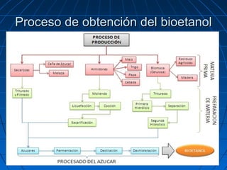 Proceso de obtención del bioetanolProceso de obtención del bioetanol
 